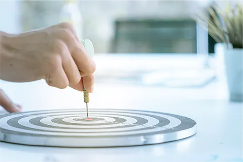 insights we focus on