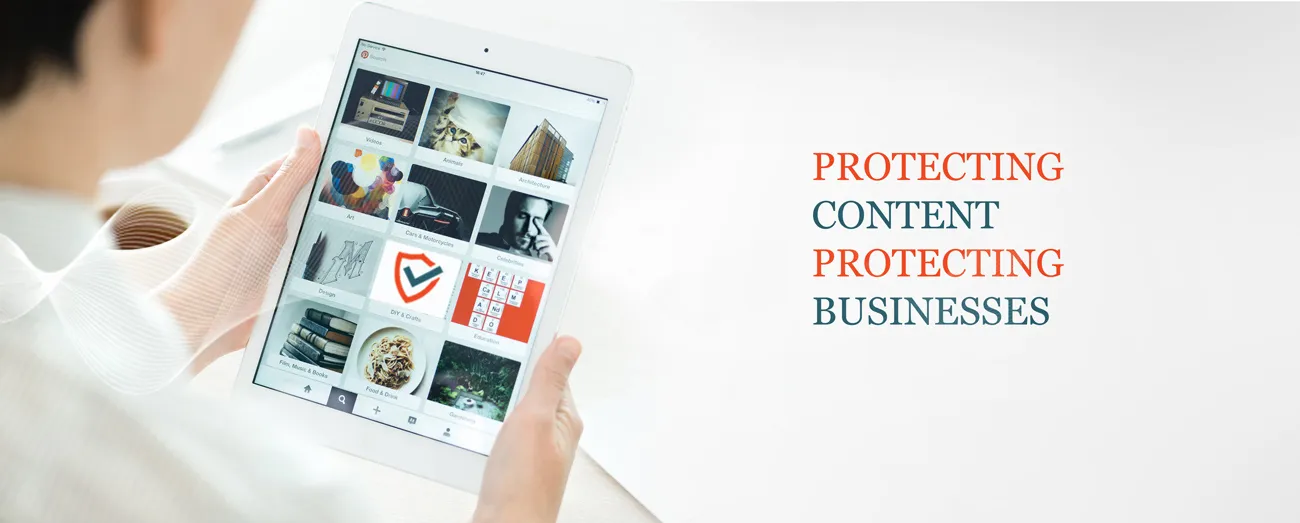 AiPlex Antipiracy - Protecting digital content and business revenue